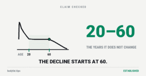 Line chart of energy expenditure across the lifespan: a peak in infancy, flat from age 20 to 60, then declining