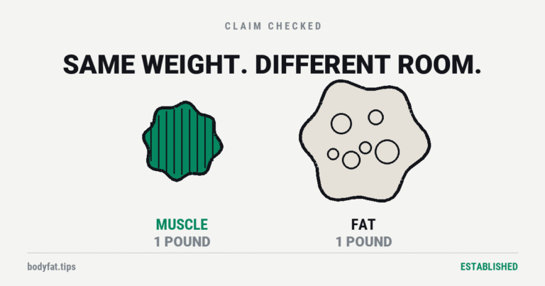 Cartoon: a small dense shape labelled muscle beside a large airy shape labelled fat, both one pound