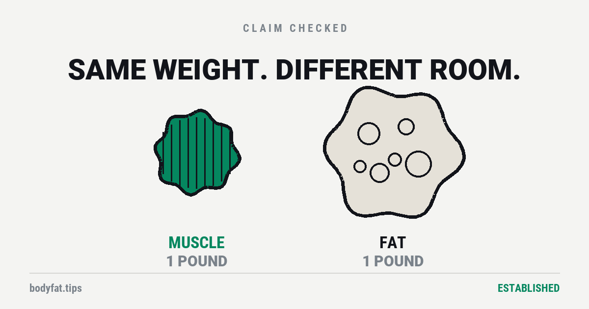 Cartoon: a small dense shape labelled muscle beside a large airy shape labelled fat, both one pound