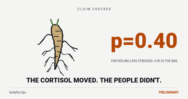 Cartoon ashwagandha root with fibrous side roots, beside the figure p equals 0.40