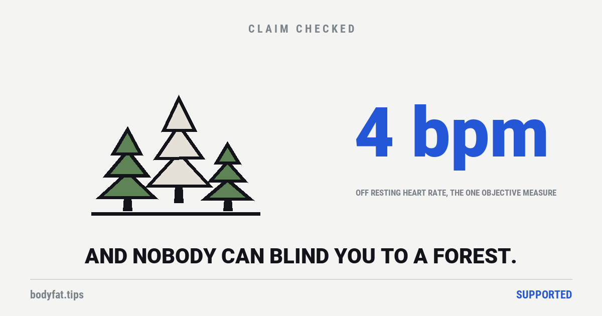 Three conifers of different heights, beside the figure 4 beats per minute