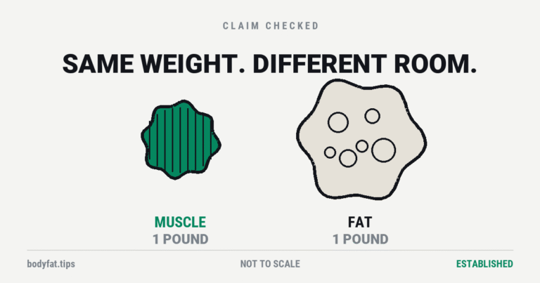 Cartoon, not to scale: a small dense shape labelled muscle beside a larger airy shape labelled fat, both one pound