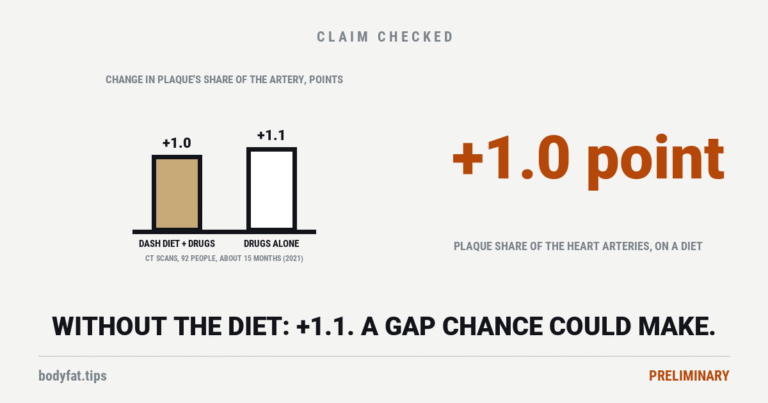 Two bars rising from zero: plaque's share of the heart's arteries rose 1.0 point on a DASH diet with drugs and 1.1 points on drugs alone over about 15 months; beside it the figure +1.0 point