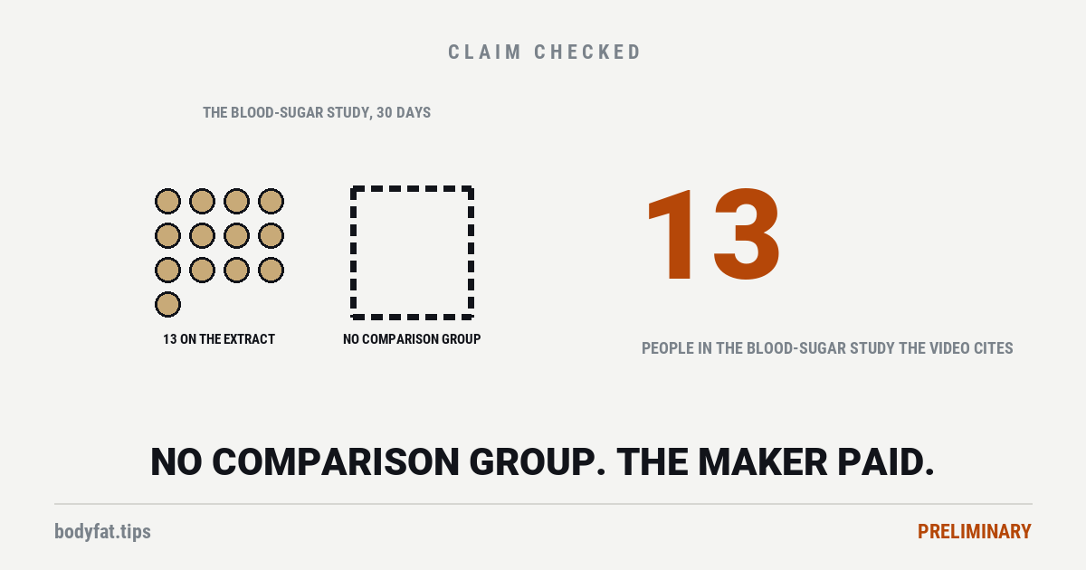 Cartoon of thirteen dots marked 13 on the extract beside an empty dashed box marked no comparison group; beside them the figure 13, the people in the clove-extract blood-sugar study the video cites