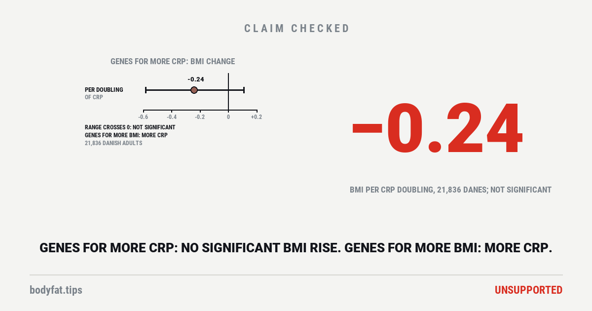 Data graphic: in a genetic study of 21,836 Danish adults, a gene variant that raises CRP went with 0.24 BMI points less per doubling of CRP, a range from 0.58 lower to 0.11 higher that includes no difference; a variant that raises BMI went with more CRP; beside them the figure -0.24