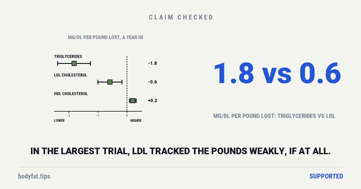 Chart of what moved for each pound lost a year into 30 diet-and-exercise trials: triglycerides about 1.8 mg/dL lower, LDL about 0.6 lower and HDL about 0.2 higher, each with its range; beside it the figures 1.8 vs 0.6