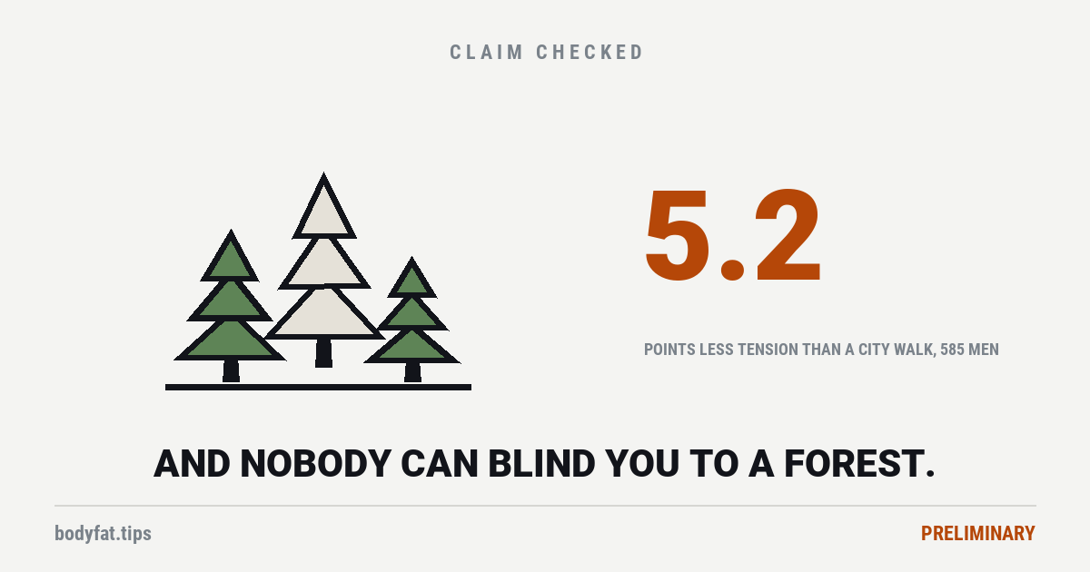 Three conifers of different heights, beside the figure 5.2
